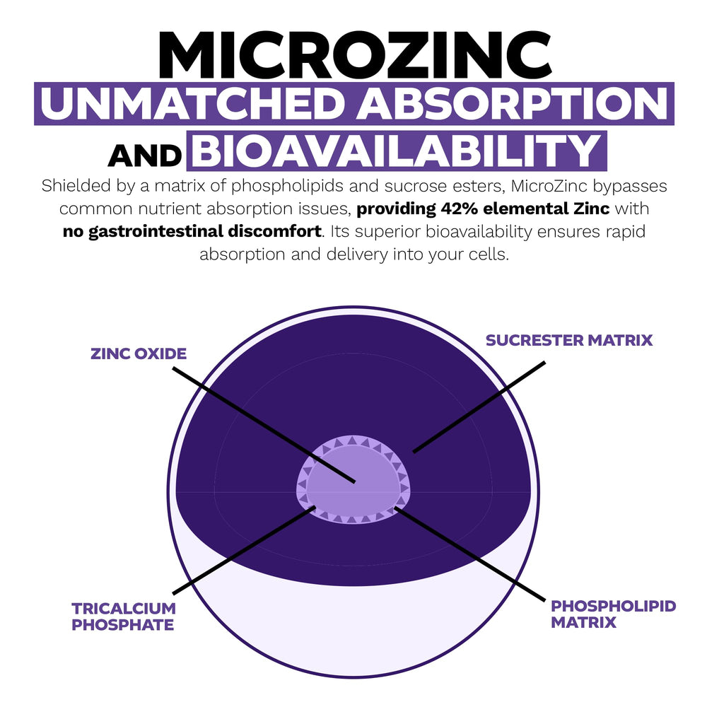 Nootropics Depot MicroZinc capsules in hand for convenient daily use