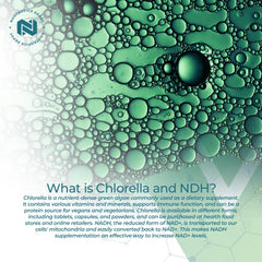 Nootropics Depot NADH chlorella capsules in hand for on-the-go energy.