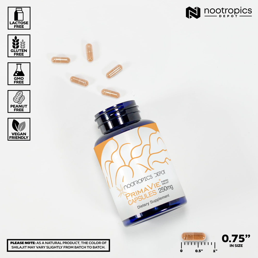 Nootropics Depot PrimaVie Shilajit capsules on desk for daily vitality routine.