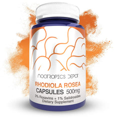 Nootropics Depot Rhodiola bottle label showing 500 mg and rosavins for daily focus