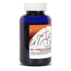 Nootropics Depot Tribulus product for daily use in workout-ready routine
