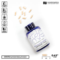 Nootropics Depot Yuan Zhi capsules close-up for learning and focus potential.