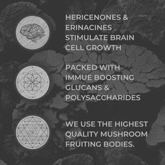 Nootrum Mushrooms capsules packaging highlighting standardized extracts.