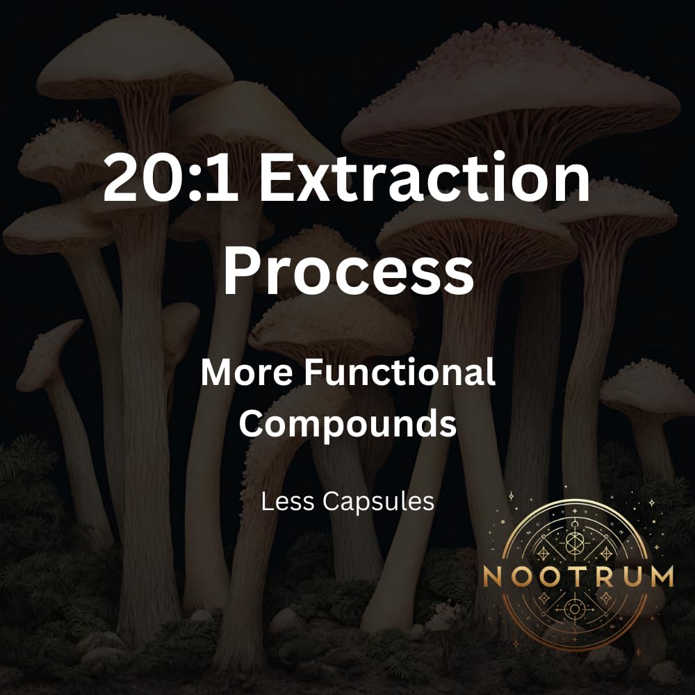 Nootrum Mushrooms capsules side view for everyday use.