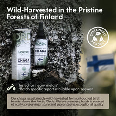 Nordic Organic Chaga fruiting body closeup emphasizes 100% fruiting body content