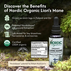 Nordic Organic Lion's Mane tincture dropper enabling precise servings for cognitive clarity.
