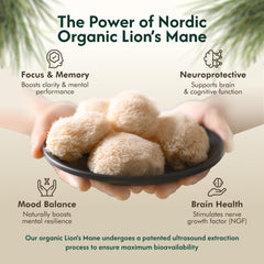 Nordic Organic Lion's Mane tincture label closeup highlighting organic fruiting body sourcing.