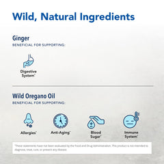 Gastronex ingredients spread featuring ginger, oregano, coriander, and enzymes.