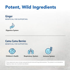 Ginger root concentrate close-up for natural joint wellness from Inflam-eeZ