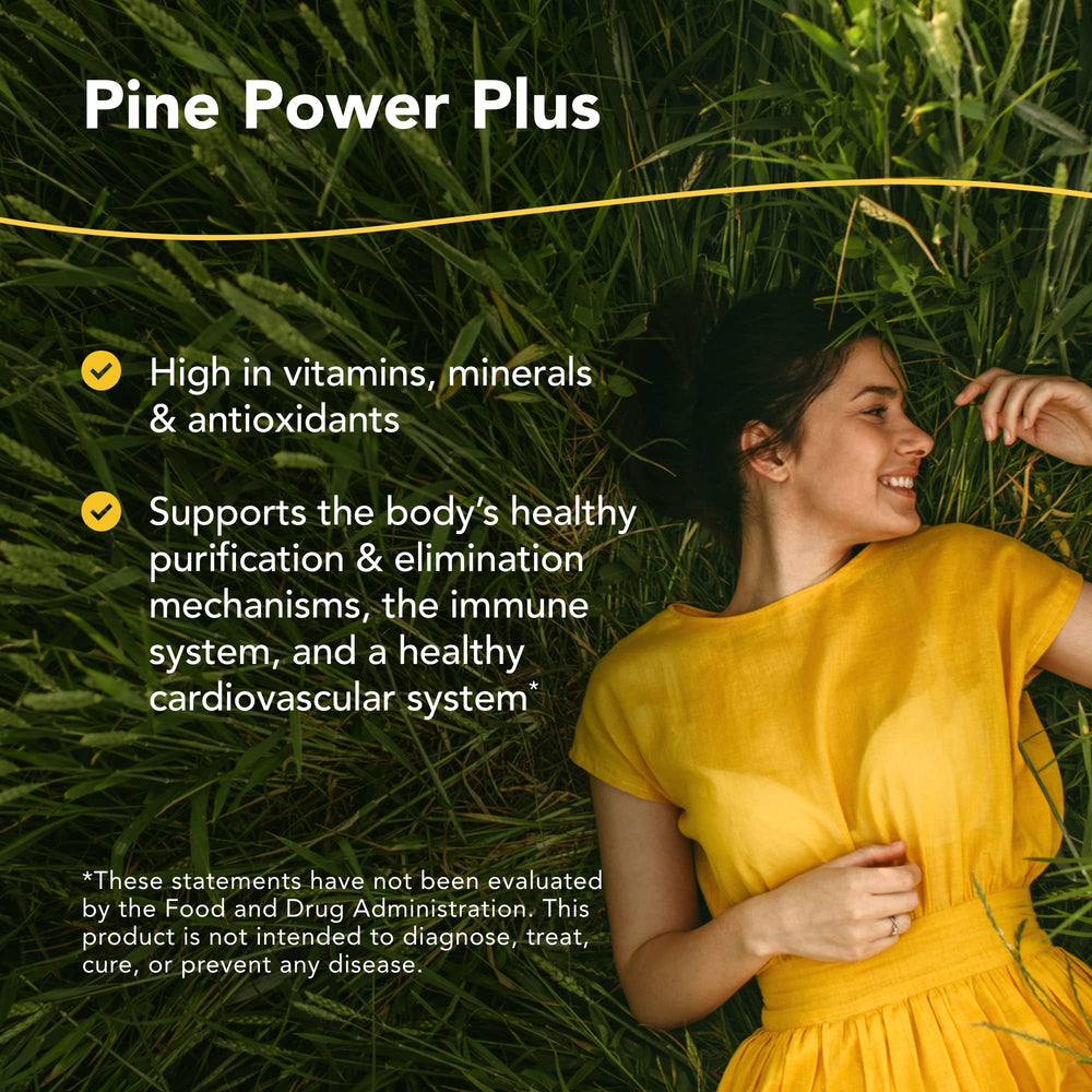 Close-up of Pine Power Plus ingredients showing pine needles and spruce needles.