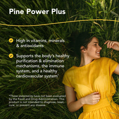 Close-up of Pine Power Plus ingredients showing pine needles and spruce needles.