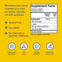 Wild kelp source image representing trace minerals in Thyroset.