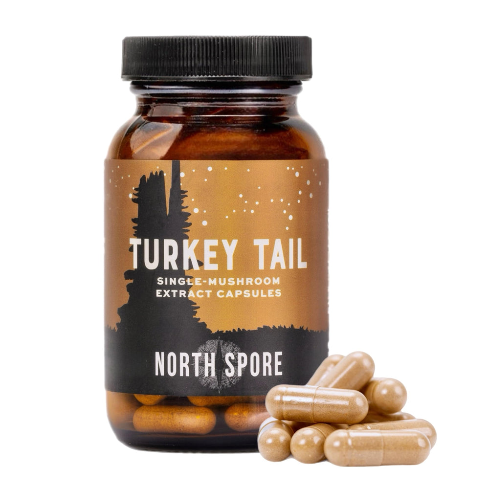 North Spore 1:1 fruiting body extract label clear potency indication