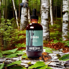 North Spore Chaga tincture serving drops over a warm beverage for convenience.