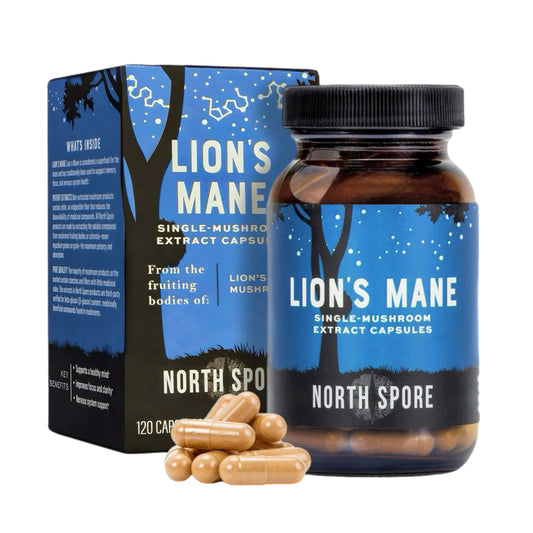 North Spore Lion's Mane extract bottle enhances focus and mental clarity for daily tasks.