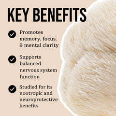 North Spore Lion's Mane fruiting bodies close-up, pure mushroom extract