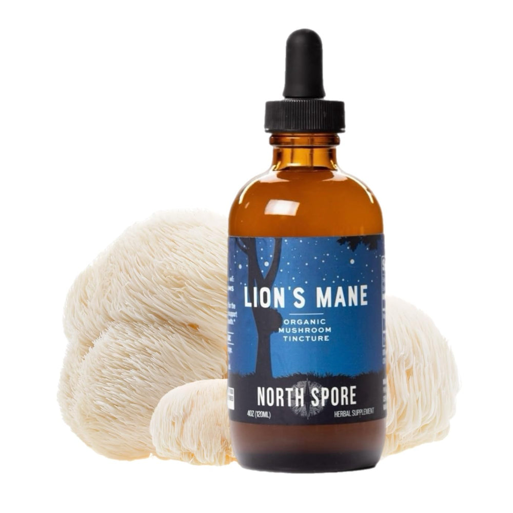 North Spore Lion's Mane tincture dropper in use, easy to add to beverages for focus