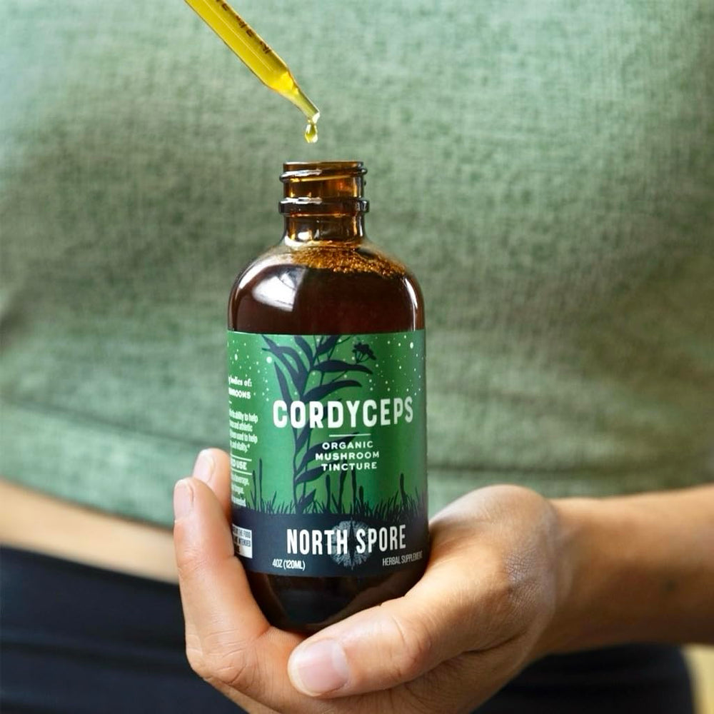 Glass bottle of North Spore organic cordyceps tincture on counter.