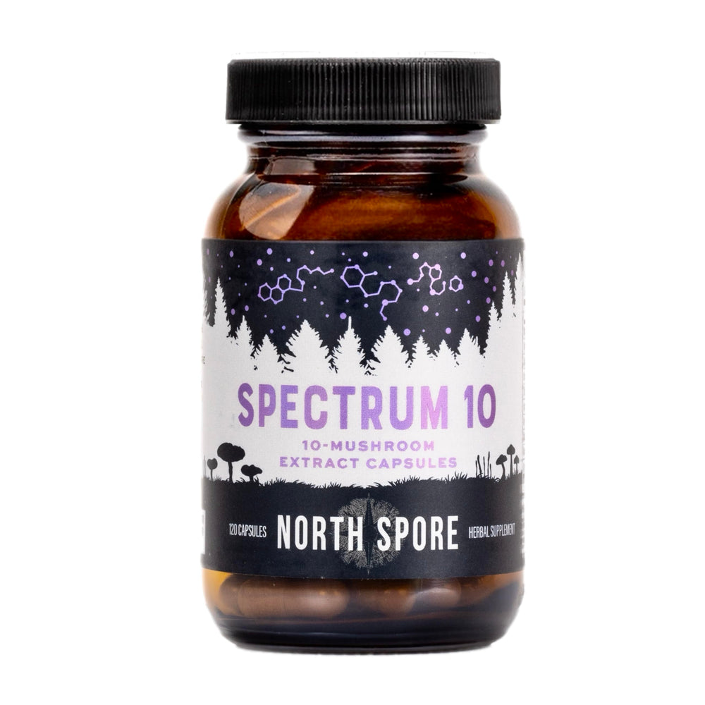 North Spore Spectrum 10 capsules pour demonstrates convenient dosing for focus and energy.