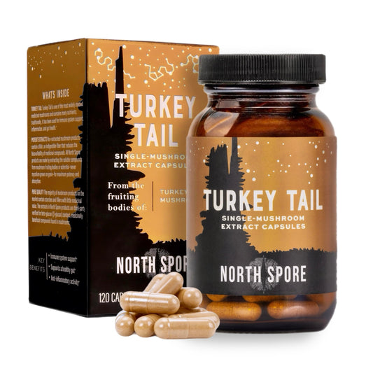 North Spore Turkey Tail extract capsules bottle display highlighting 120 capsules for daily wellness