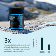 Close-up of Nova Sea Atlantic capsules showing sea cucumber extract