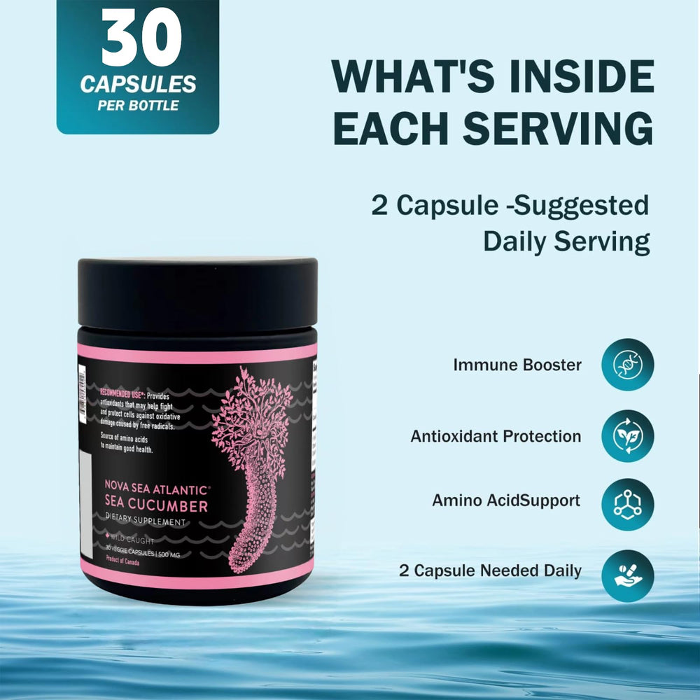 Nova Sea Atlantic Wild Sea Cucumber capsule jar for convenient use
