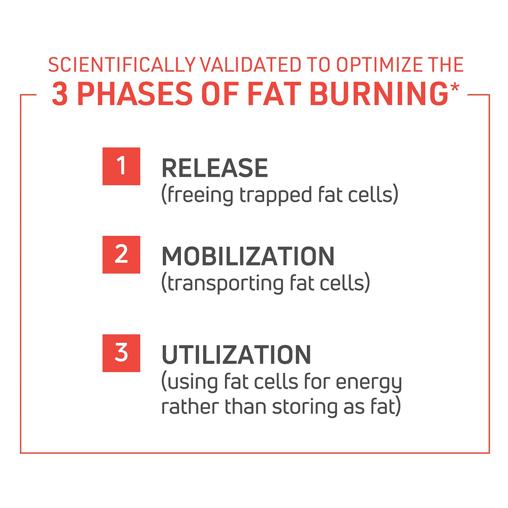 Novex Biotech ThermoDyne label-view showing ingredients for metabolism-friendly fat burning