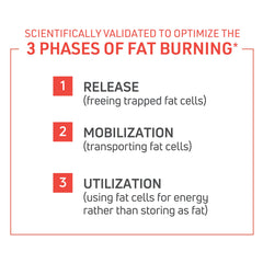Novex Biotech ThermoDyne label-view showing ingredients for metabolism-friendly fat burning