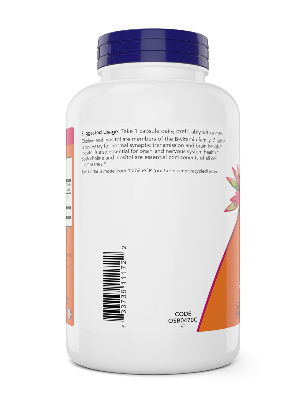 NOW Foods Choline Inositol label indicates vegan and kosher