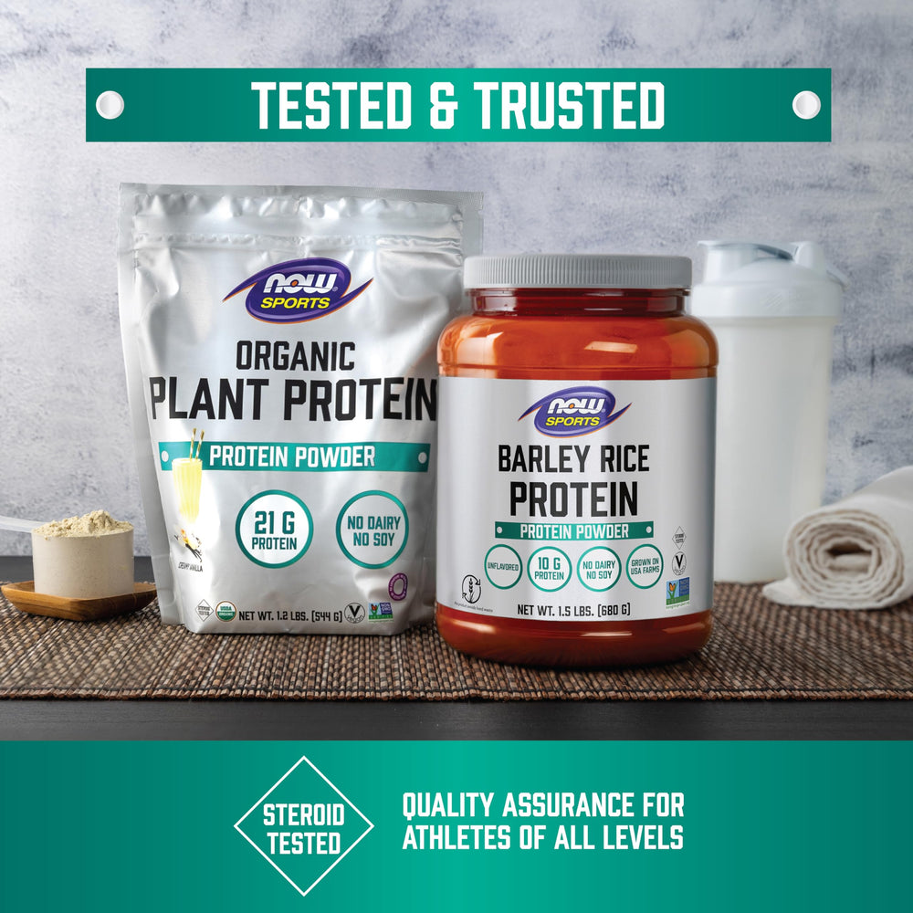 NOW Foods Dairy-free and soy-free Organic Plant Protein option for vegan diets