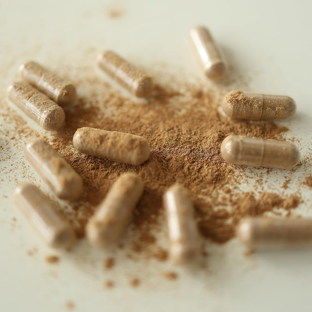 Nowful MindThrive 10-mushroom-blend capsules for holistic daily wellness.