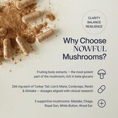 Nowful MindThrive Cordyceps energy-stamina capsules for steady daytime alertness.