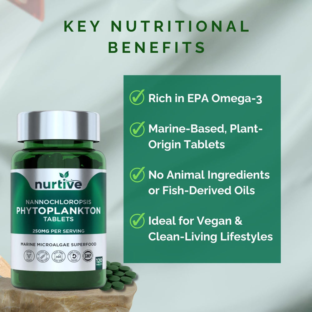 Kitchen counter setup highlights everyday wellness integration.