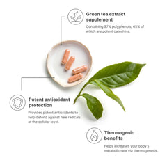 Nu Skin TeGreen 97 label and packaging close view showing high catechin content