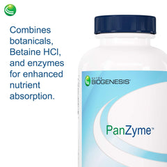Nutra Biogenesis PanZyme on shelf conveys trusted digestive wellness.