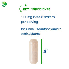 Nutra BioGenesis Sterol 117 ingredients include plant sterols and pine bark for antioxidant support.