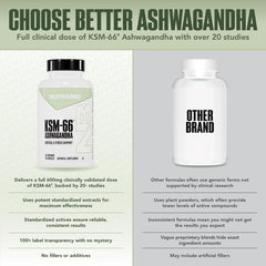 NutraBio Ashwagandha packaging box highlighting premium wellness.
