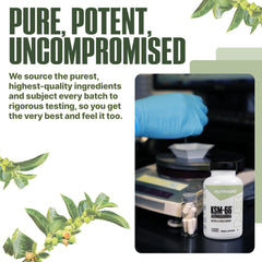 NutraBio Ashwagandha KSM-66 product shot emphasizing natural energy.