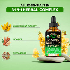 NutraHarmony Mullein Drops full bottle emphasizes vegan sugar-free formula.