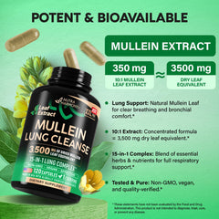 NutraHarmony Mullein Leaf Extract label detail highlights USA-made quality