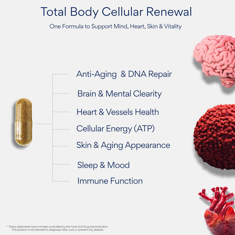 NutraHerbs one capsule dosage visual emphasizes simple daily routine.