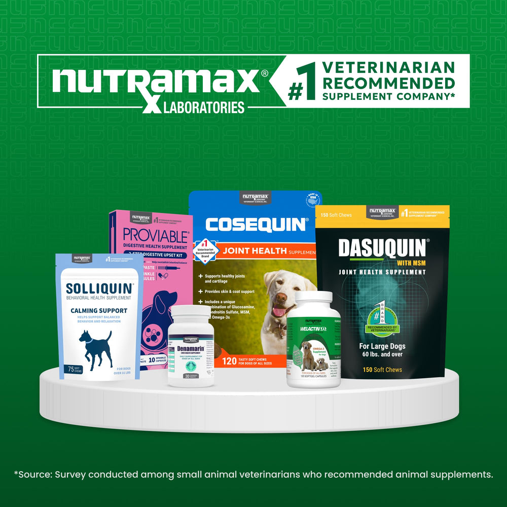 Nutramax Cobalequin B12 supports canine B12 needs in daily routine.