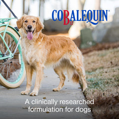 Cobalequin B12 tablets closeup highlighting easy administration for dogs.
