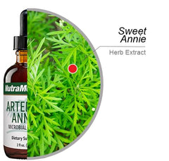 NutraMedix Artemisia Annua label close-up highlights Sweet Annie extract details.