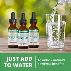 NutraMedix Nutra BBS ingredients arranged to illustrate microbial support and antioxidants.