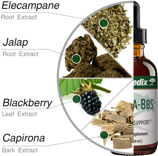 NutraMedix Nutra BBS dropper releases amber liquid for easy daily use.
