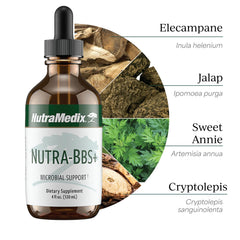 NutraMedix Nutra-BBS+ Artemisia annua highlighting antioxidant potential in use.