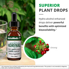 Schisandra fruit image illustrating holistic blend components for heart and lungs.