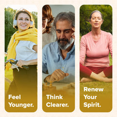 Nutraville Genesis Revival ingredients chart highlights Shilajit and eight botanicals.