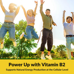 Nutribota riboflavin capsules beside CoQ10 and magnesium imagery for daily wellness.